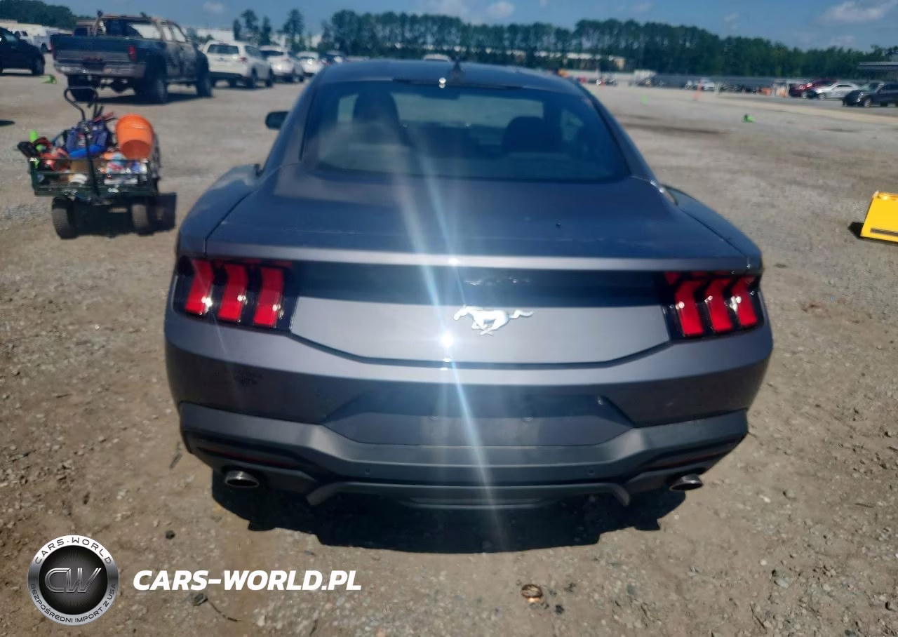 2024 Ford Mustang VIN:1FA6P8TH9R5129348 - 6