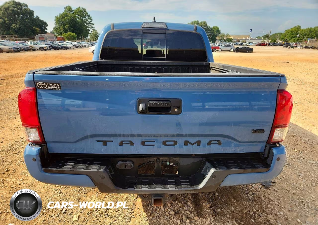 2019 Toyota Tacoma Trd Off-Road VIN:3TMAZ5CN1KM099085 - 6