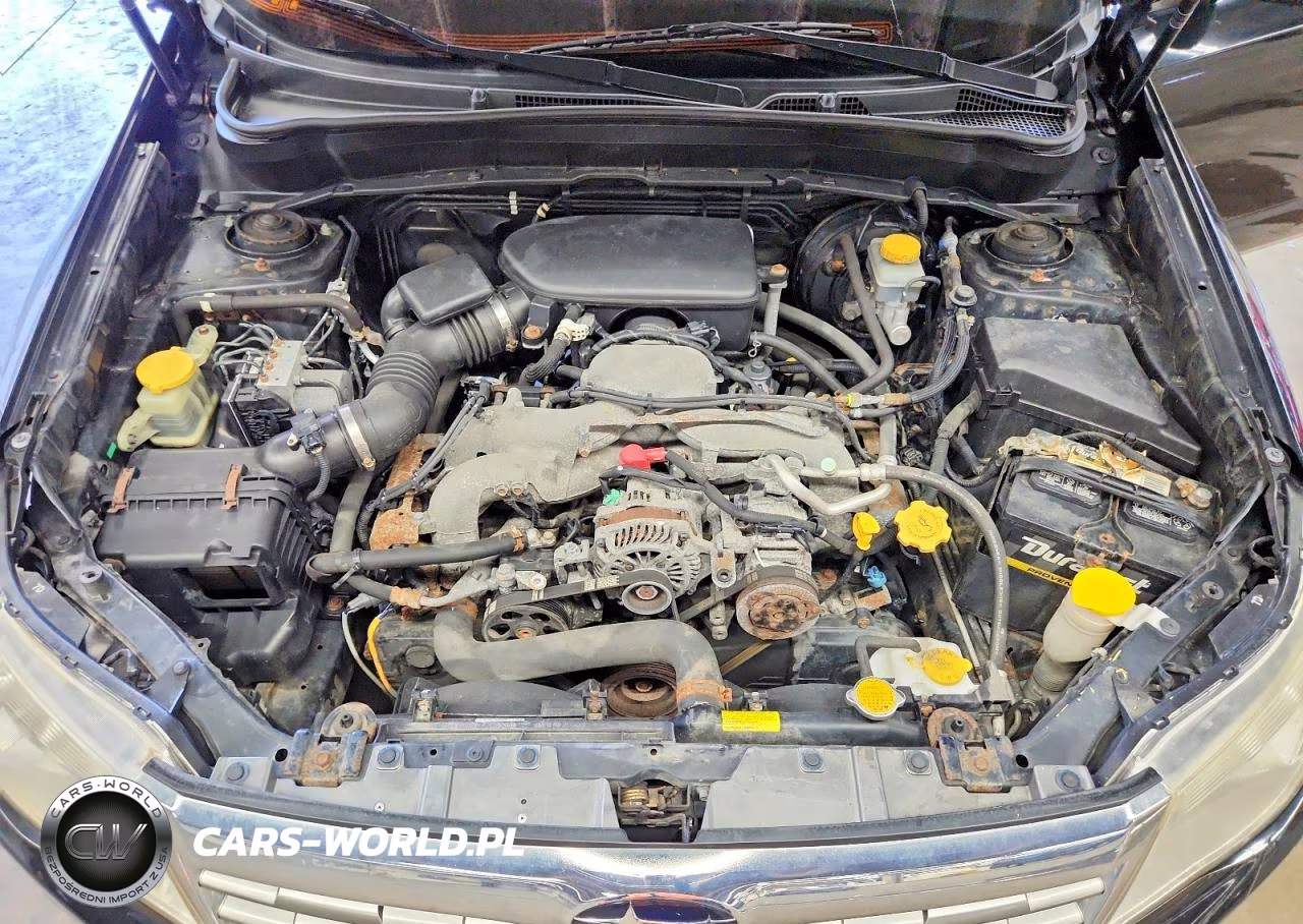 2010 Subaru Forester 2.5X Premium VIN:JF2SH6CC9AH725417 - 12