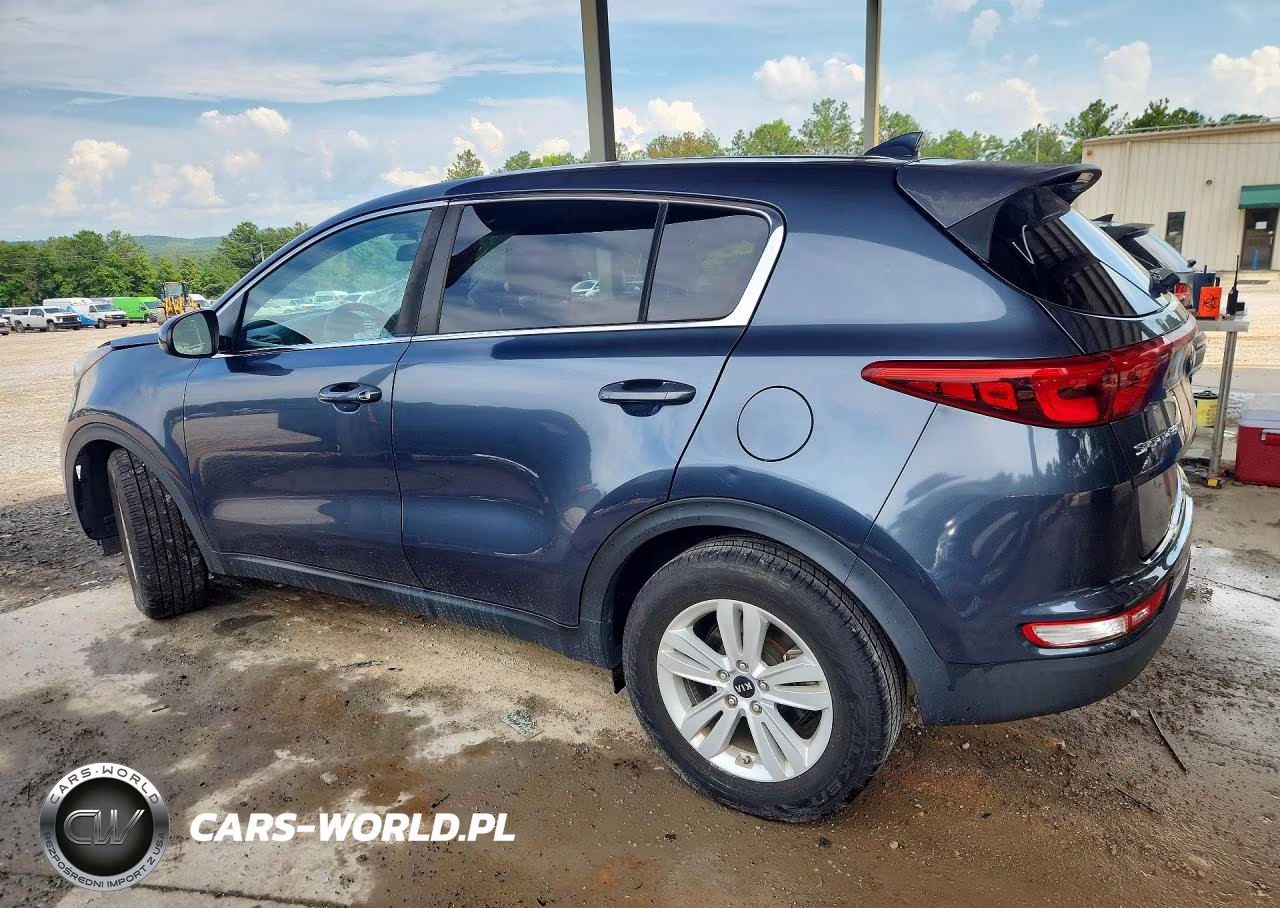 2019 Kia Sportage Lx VIN:KNDPM3AC2K7529702 - 2