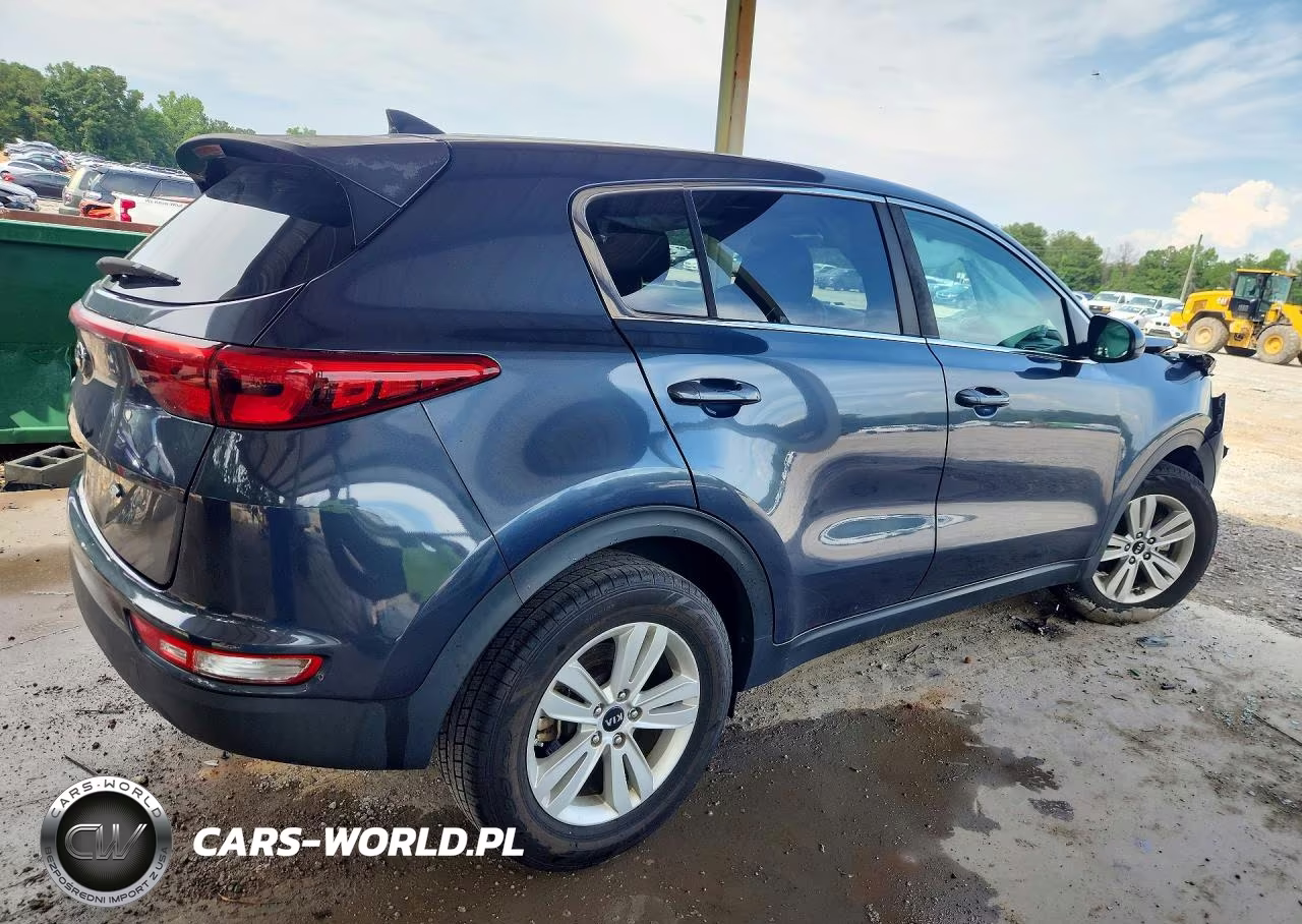 2019 Kia Sportage Lx VIN:KNDPM3AC2K7529702 - 3