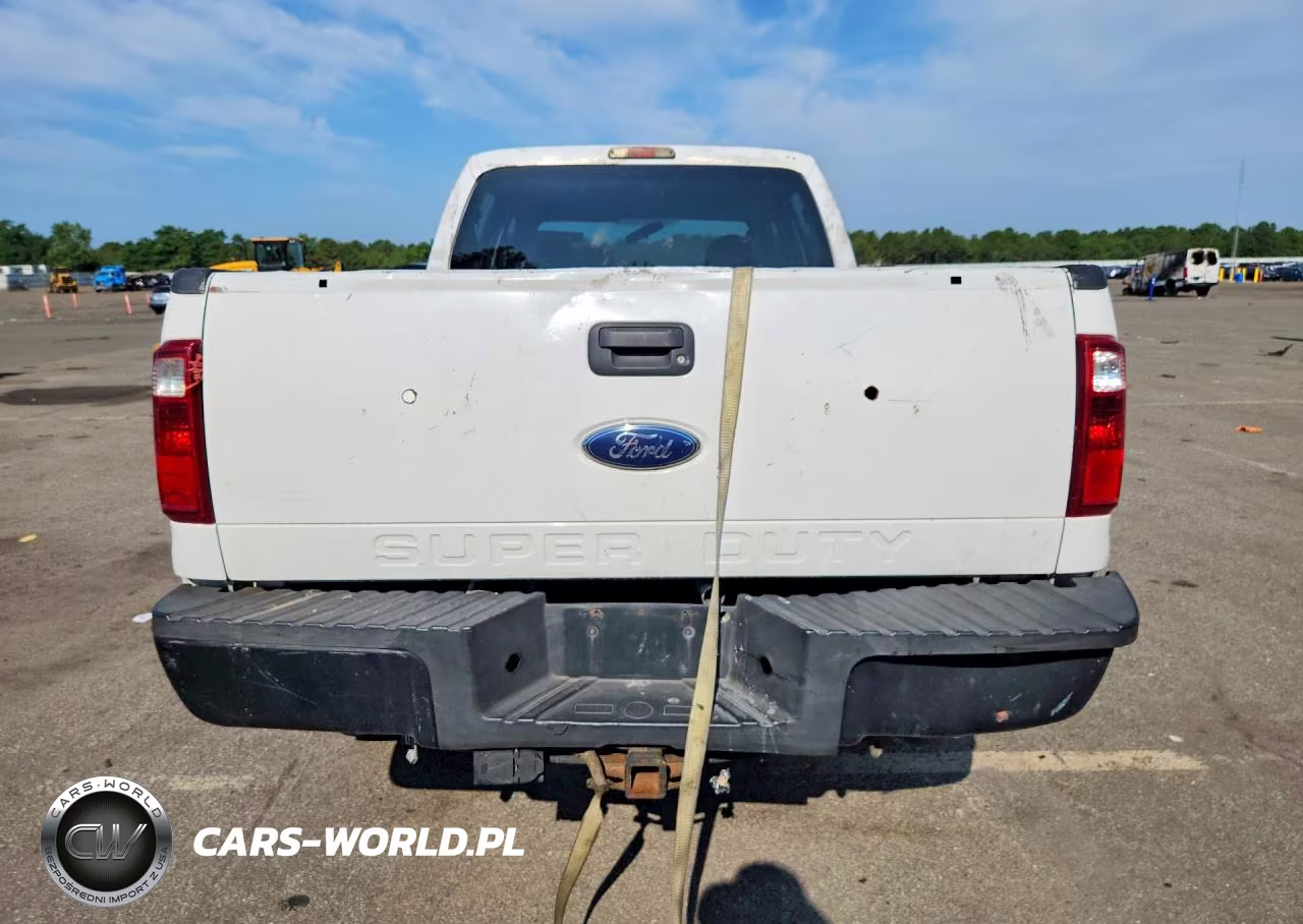 2009 Ford F250 Super Duty VIN:1FTSW21529EA19677 - 6