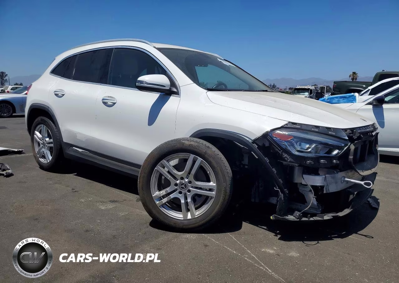 2021 Mercedes-Benz Gla 250 VIN:W1N4N4GBXMJ169601 - 4