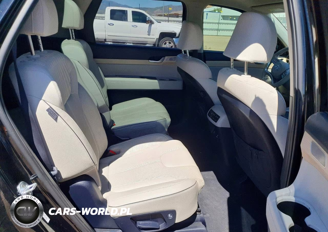2023 Hyundai Palisade Limited VIN:KM8R5DGE4PU510061 - 11