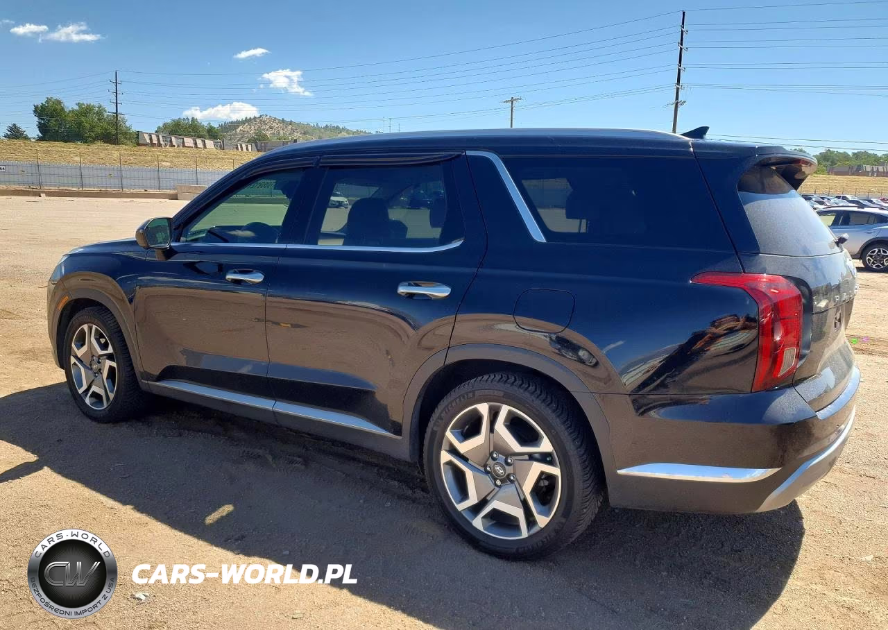 2023 Hyundai Palisade Limited VIN:KM8R5DGE4PU510061 - 2