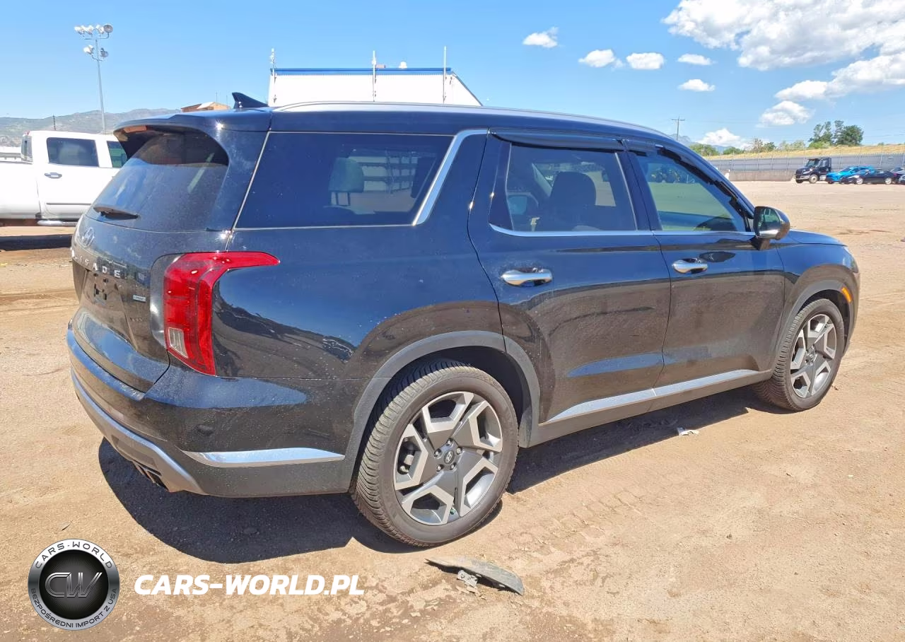 2023 Hyundai Palisade Limited VIN:KM8R5DGE4PU510061 - 3
