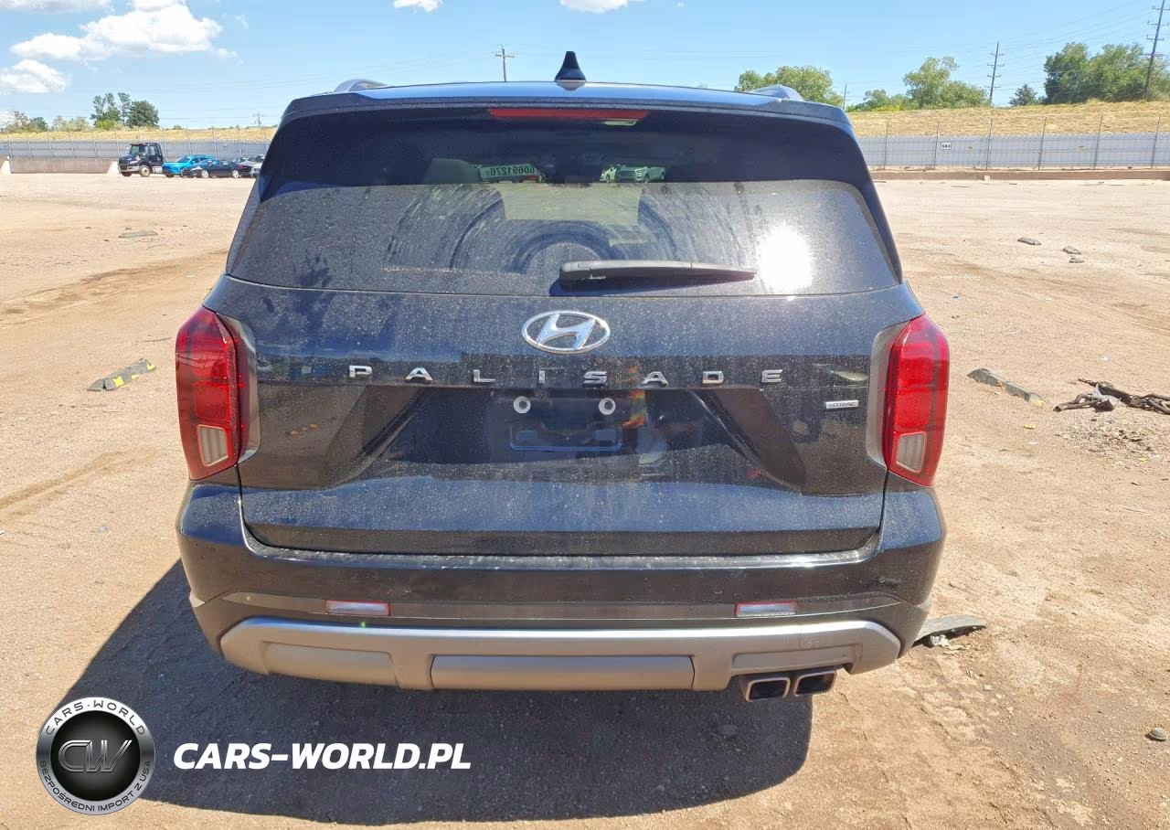 2023 Hyundai Palisade Limited VIN:KM8R5DGE4PU510061 - 6