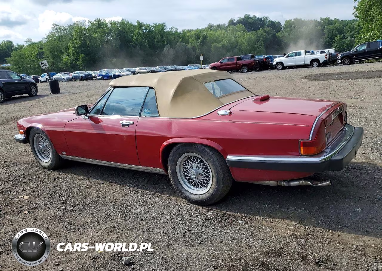 1988 Jaguar Xjs VIN:SAJNV5845JC146570 - 2