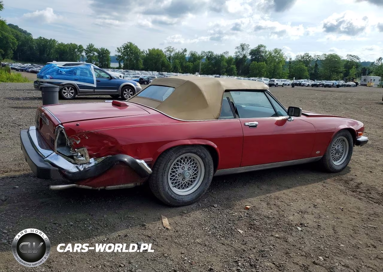 1988 Jaguar Xjs VIN:SAJNV5845JC146570 - 3