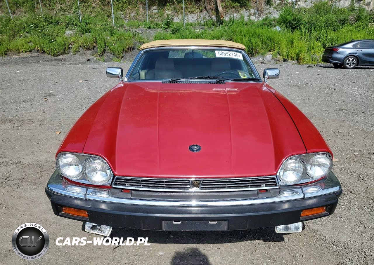 1988 Jaguar Xjs VIN:SAJNV5845JC146570 - 5