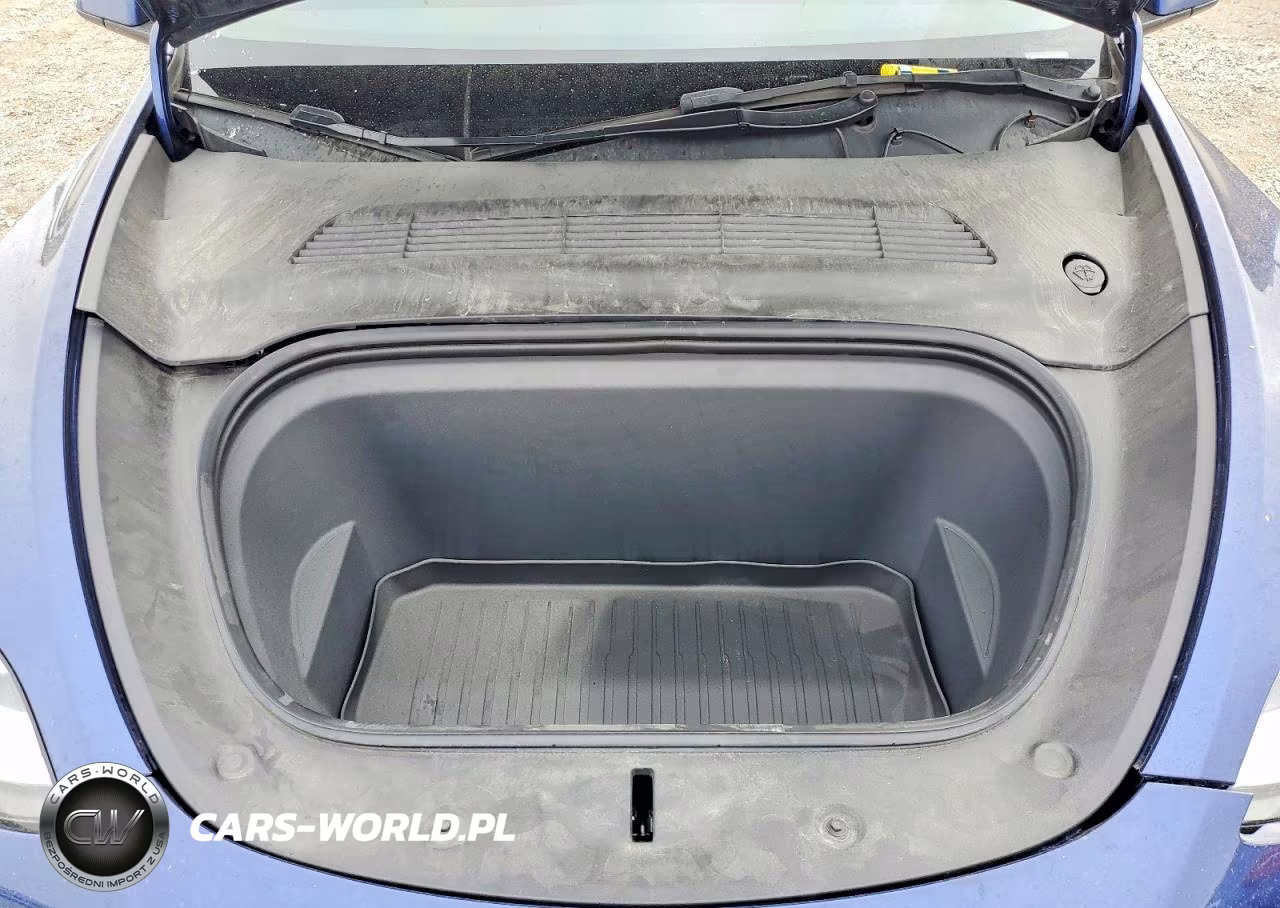 2023 Tesla Model Y VIN:7SAYGDEEXPA037885 - 11