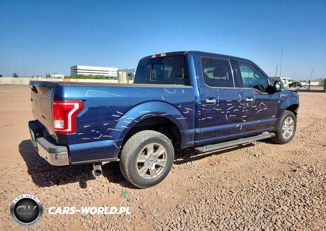 2016 Ford F150 Supercrew VIN:1FTEW1CG0GKE96001 - 3