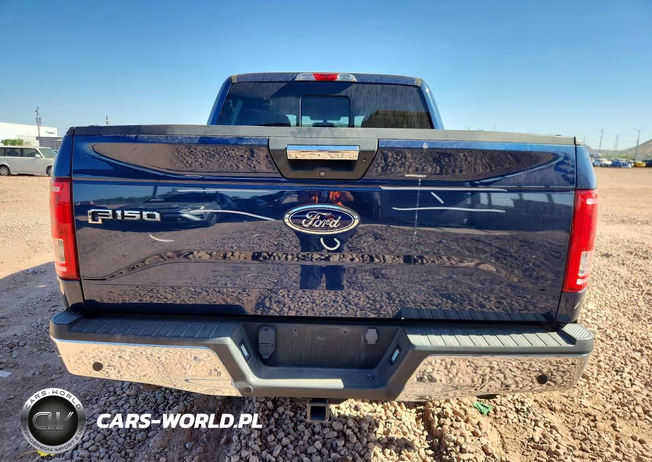 2016 Ford F150 Supercrew VIN:1FTEW1CG0GKE96001 - 6