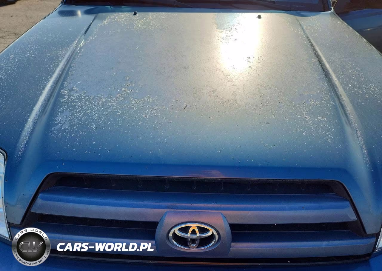 2004 Toyota 4Runner Sr5 VIN:JTEBU14R248027019 - 12