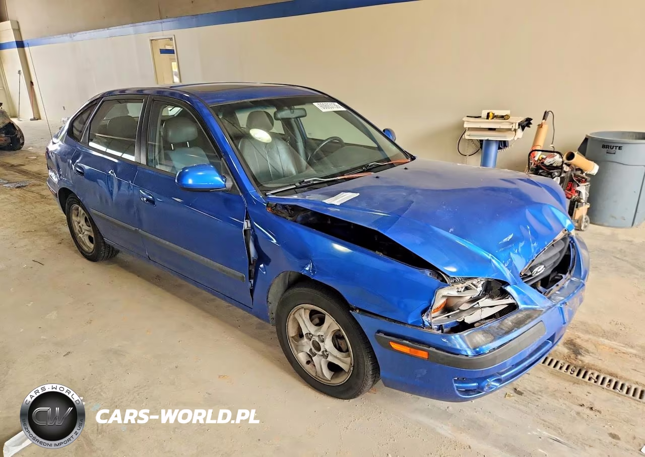 2004 Hyundai Elantra Gt VIN:KMHDN56D34U127183 - 4