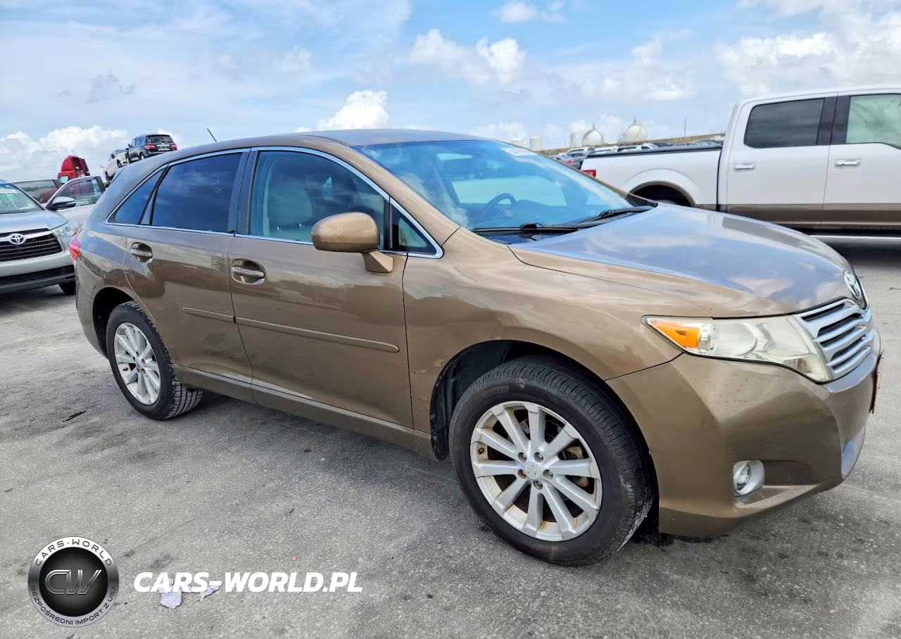 2009 Toyota Venza Fwd 4Cyl VIN:4T3ZE11A69U009557 - 4
