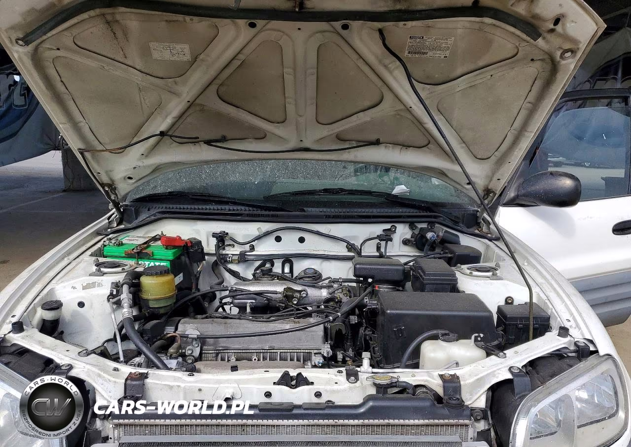 1999 Toyota Rav4 Base VIN:JT3GP10V2X0038730 - 11