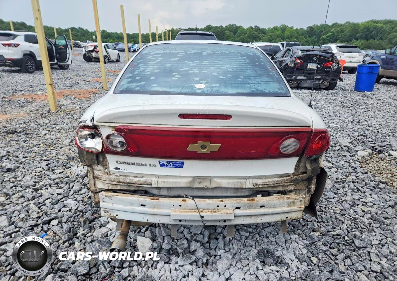 2004 Chevrolet Cavalier Ls Sport VIN:1G1JH52F047139157 - 6