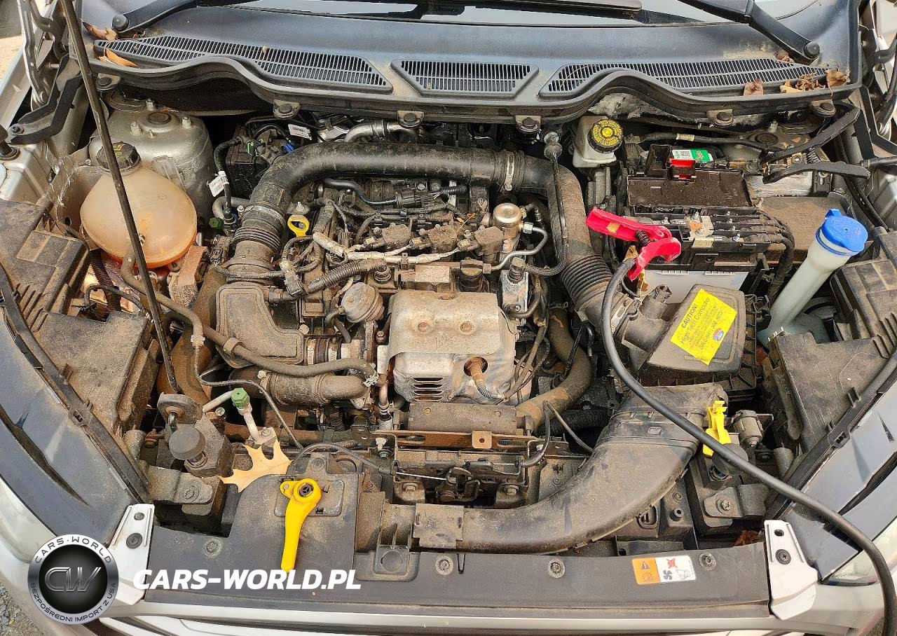 2018 Ford Ecosport Se VIN:MAJ3P1TE2JC204245 - 12