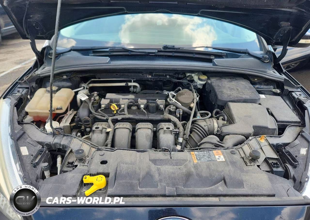 2016 Ford Focus Se VIN:1FADP3F27GL284264 - 11