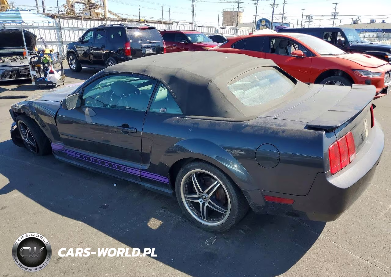 2008 Ford Mustang VIN:1ZVHT84NX85165564 - 2