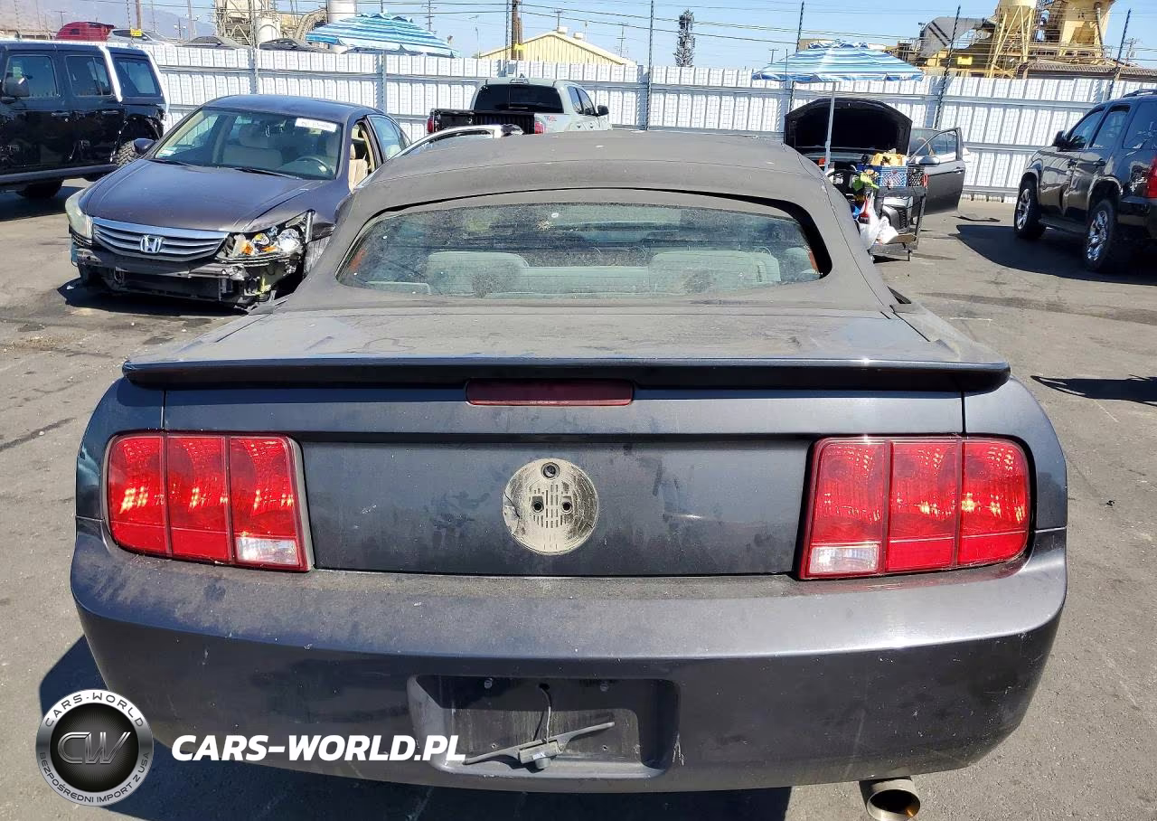 2008 Ford Mustang VIN:1ZVHT84NX85165564 - 6