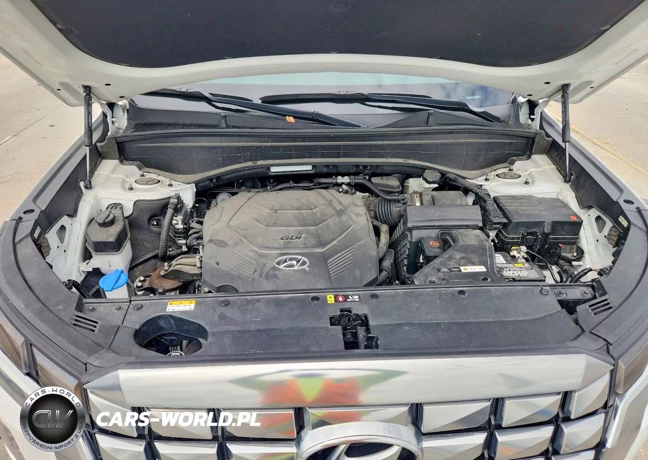 2025 Hyundai Palisade Xrt VIN:KM8R3DGE4SU840703 - 12