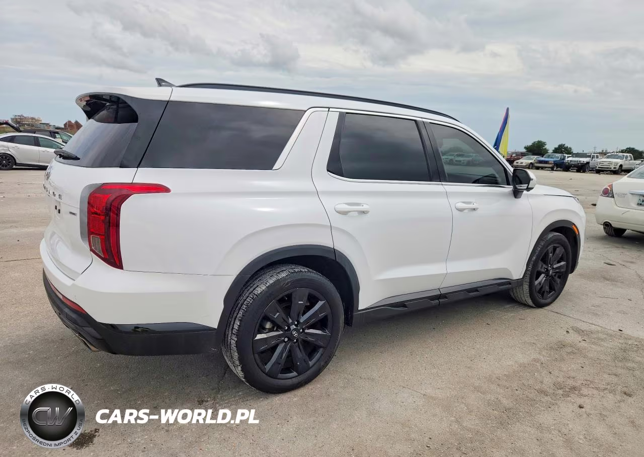 2025 Hyundai Palisade Xrt VIN:KM8R3DGE4SU840703 - 3