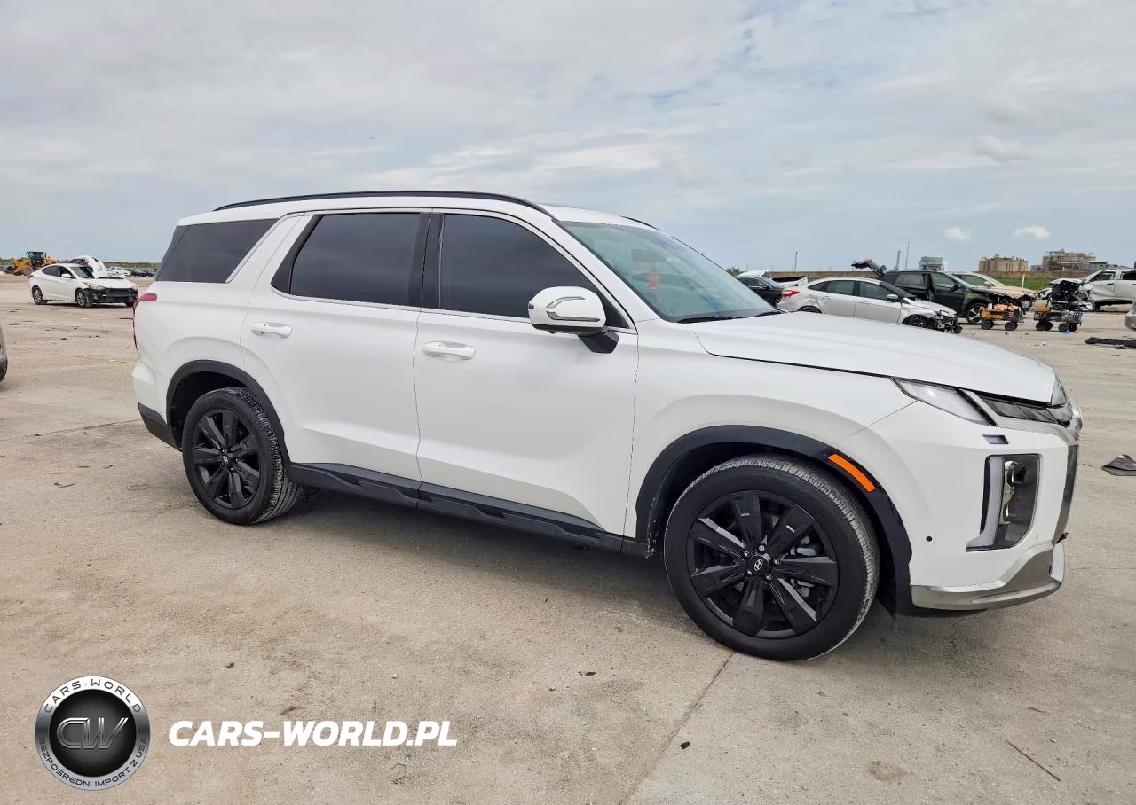 2025 Hyundai Palisade Xrt VIN:KM8R3DGE4SU840703 - 4