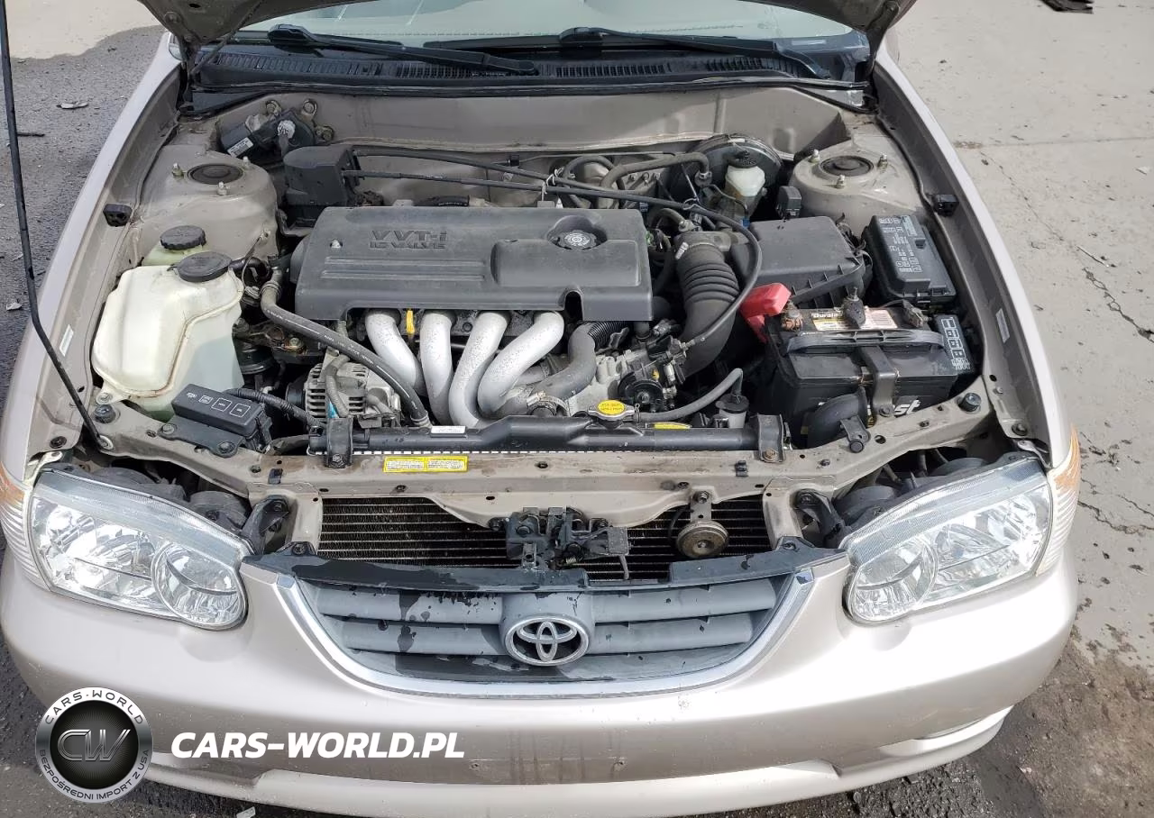 2002 Toyota Corolla Ce VIN:1NXBR12E82Z629509 - 11