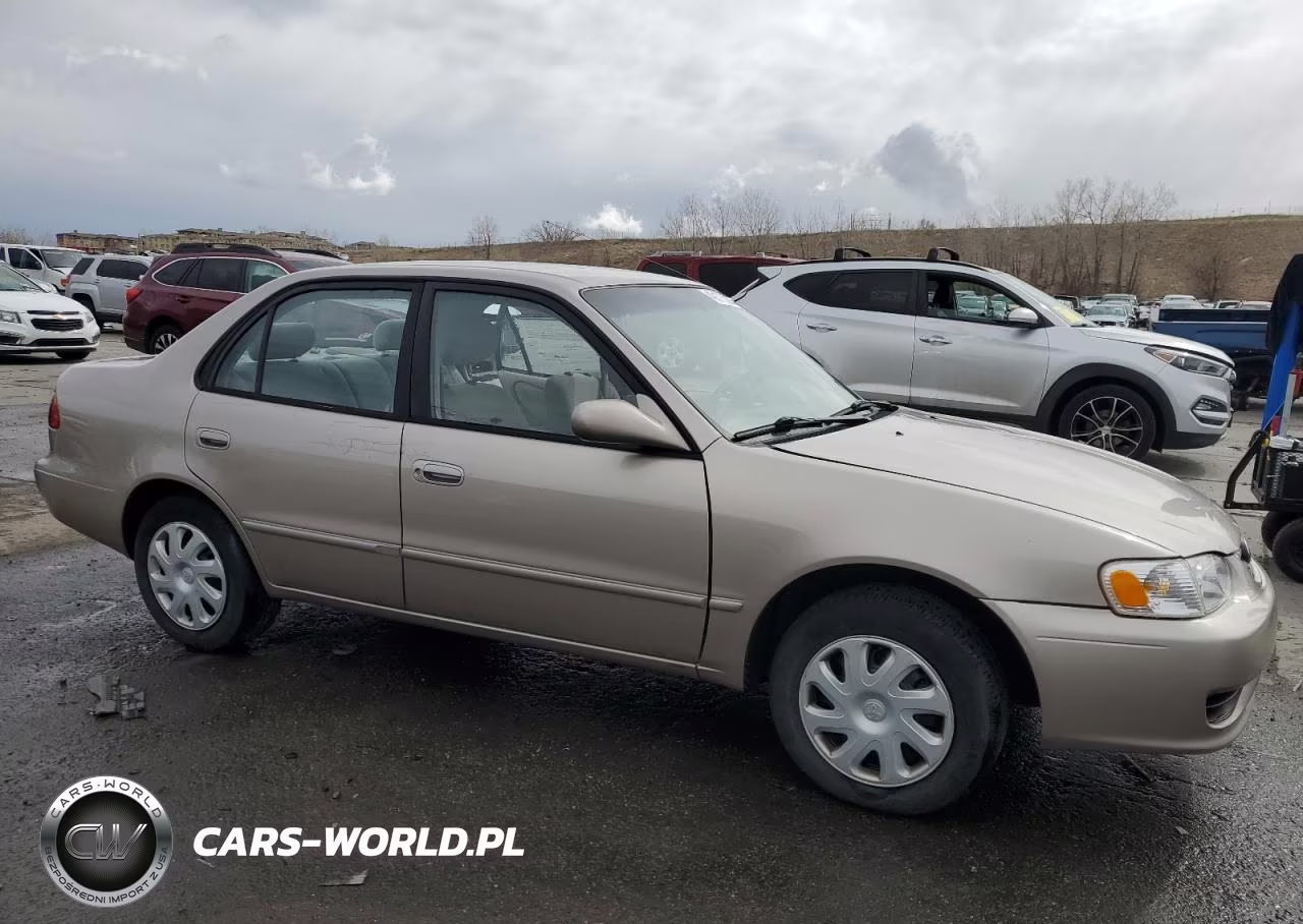 2002 Toyota Corolla Ce VIN:1NXBR12E82Z629509 - 4