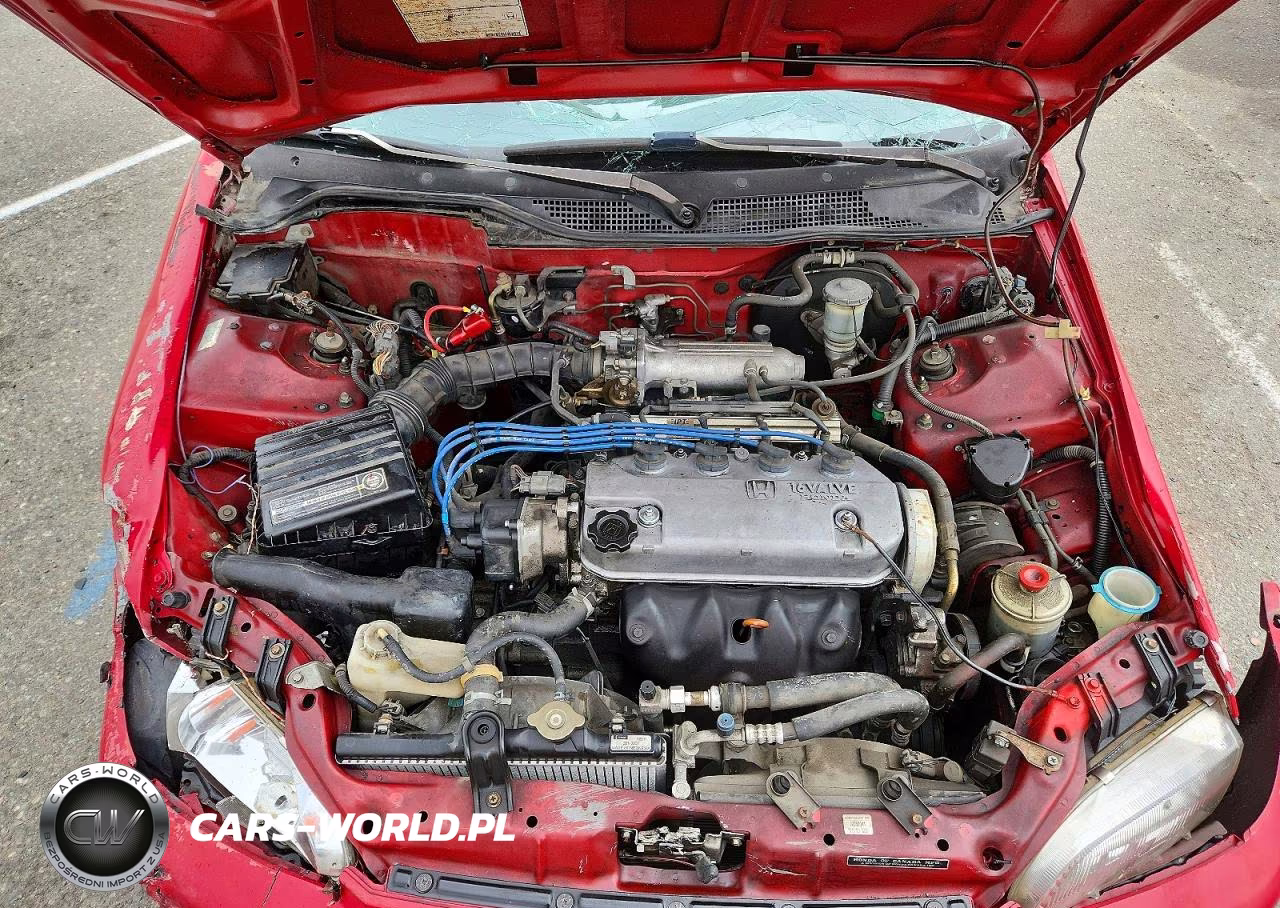 1994 Honda Civic Dx VIN:2HGEJ2228RH502102 - 11