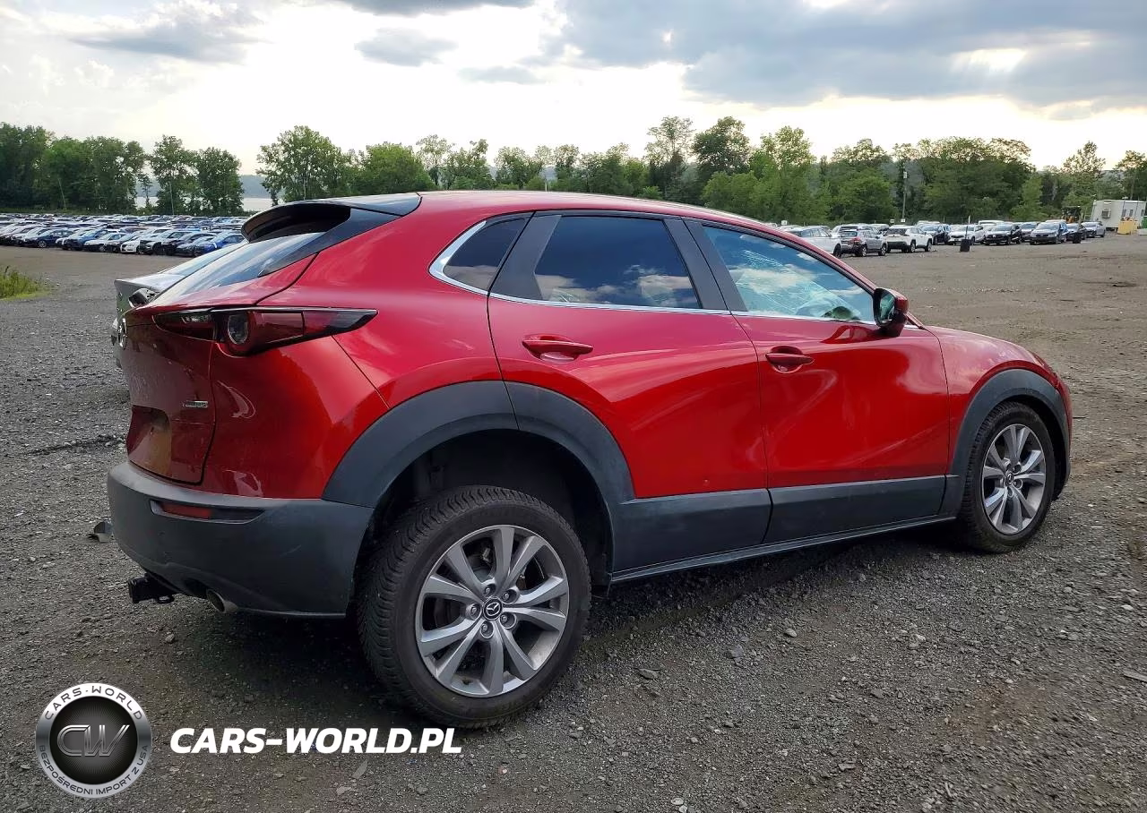 2021 Mazda Cx-30 Select VIN:3MVDMBBL0MM248596 - 3