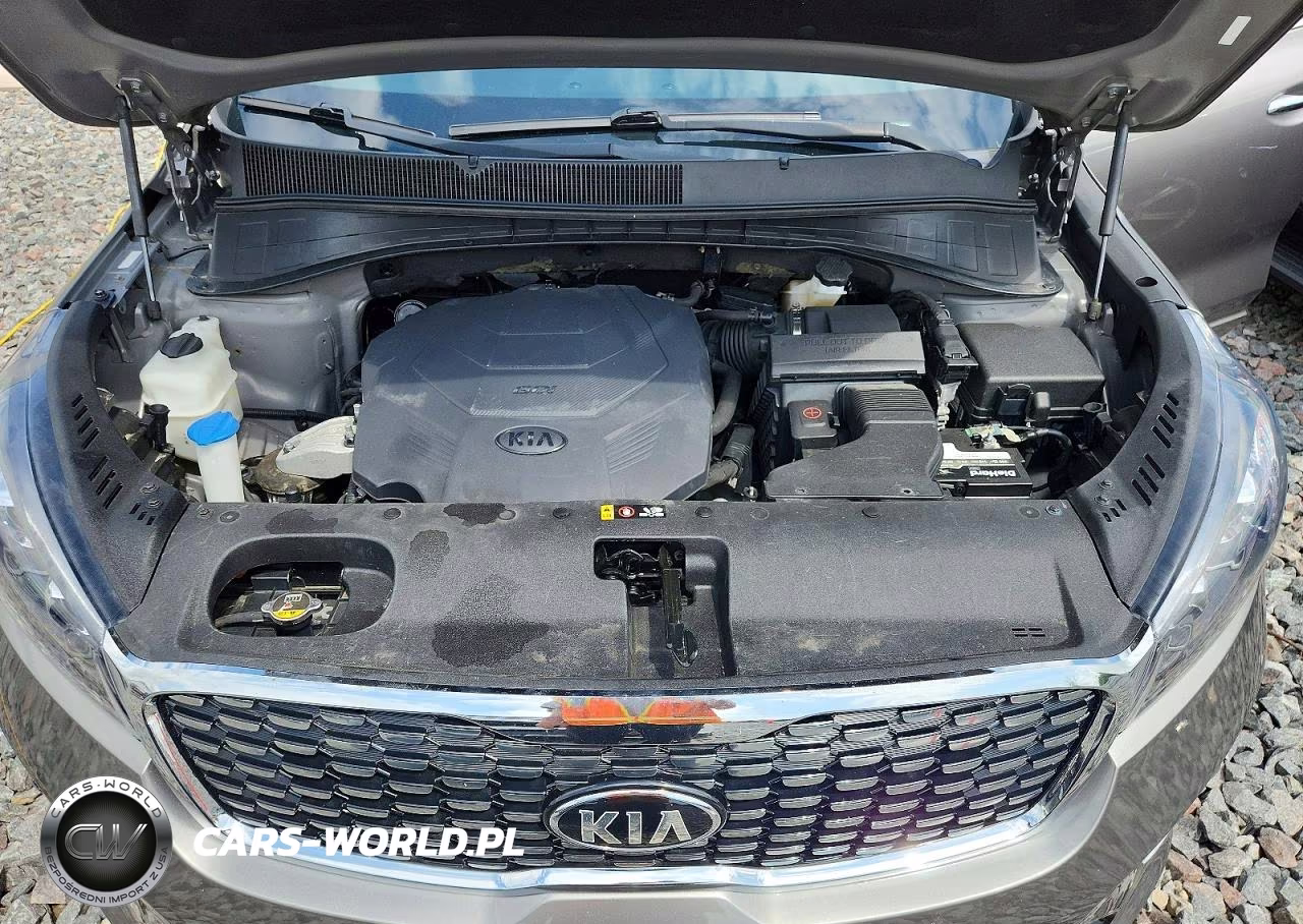 2019 Kia Sorento Sx V6 VIN:5XYPKDA59KG451242 - 12