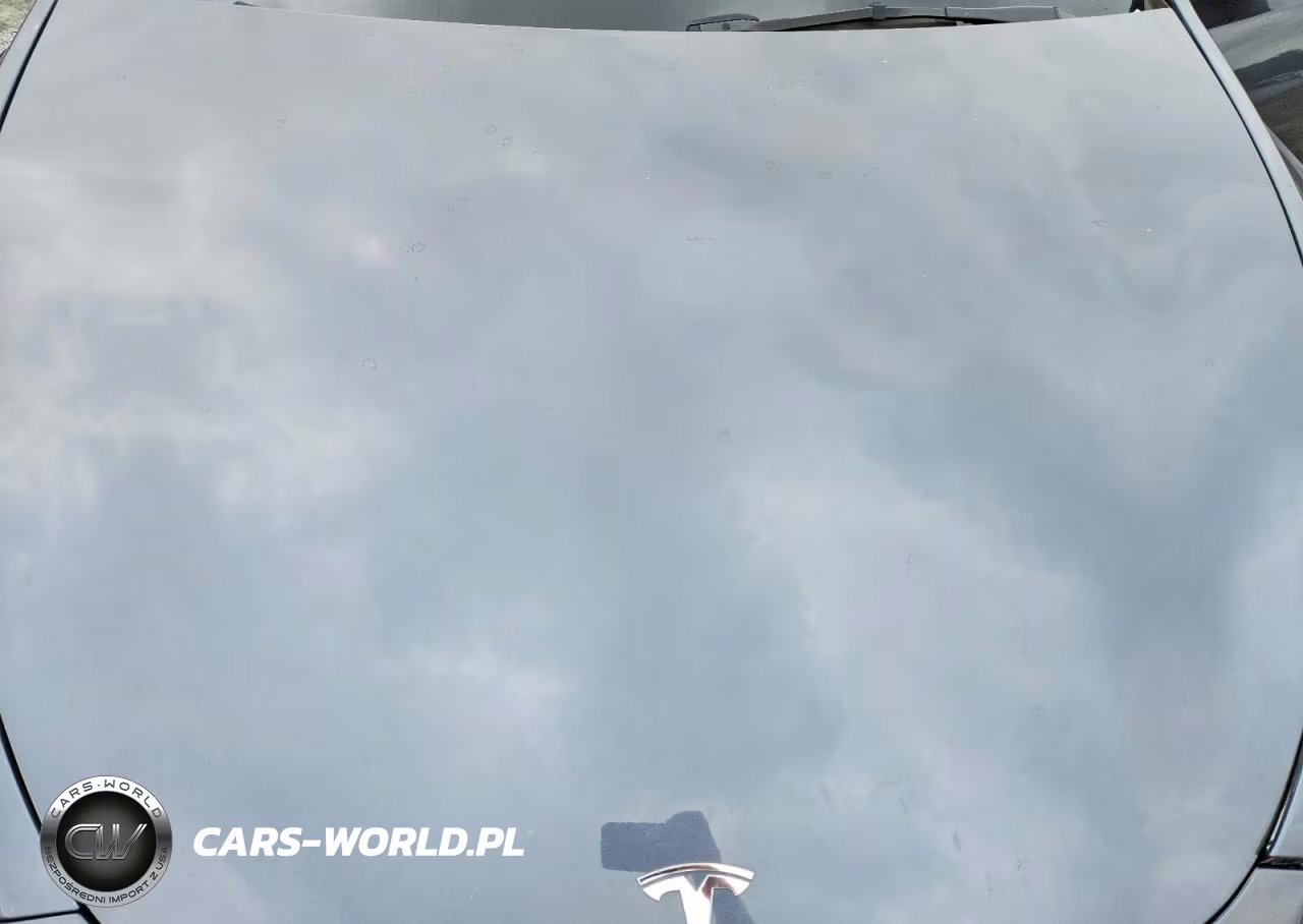 2023 Tesla Model Y VIN:7SAYGDEE2PA163786 - 12