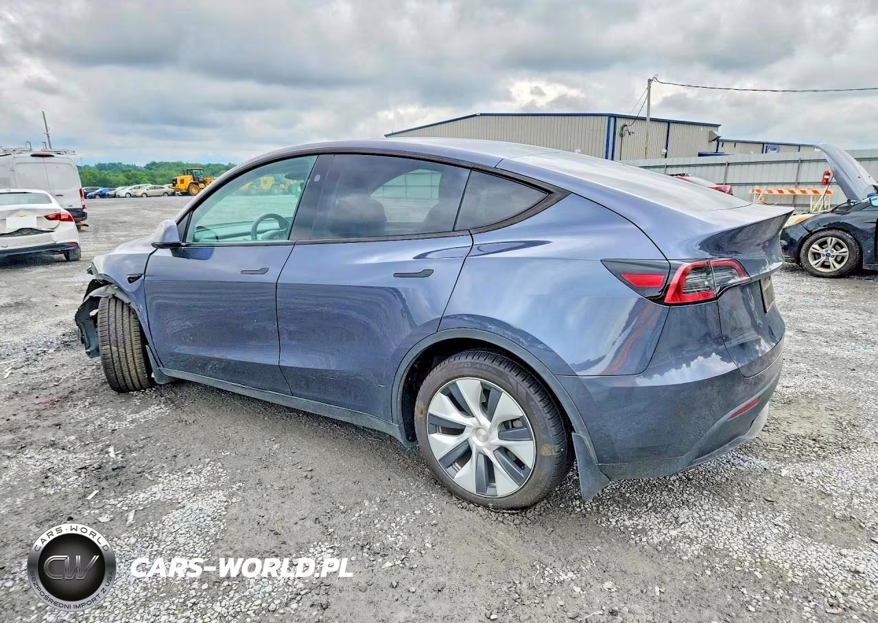 2023 Tesla Model Y VIN:7SAYGDEE2PA163786 - 2