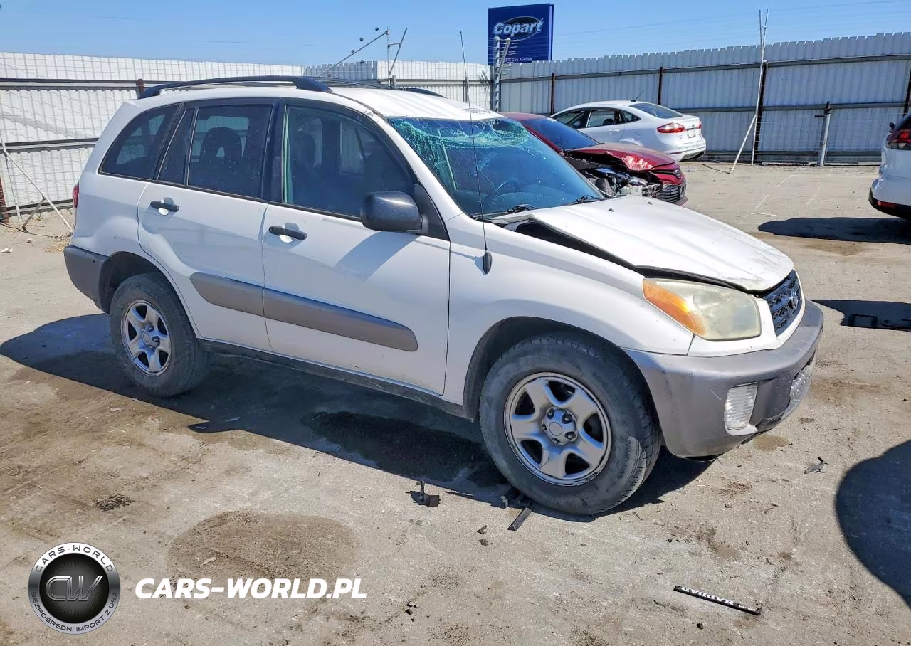 2002 Toyota Rav4 Base VIN:JTEGH20V320079838 - 4