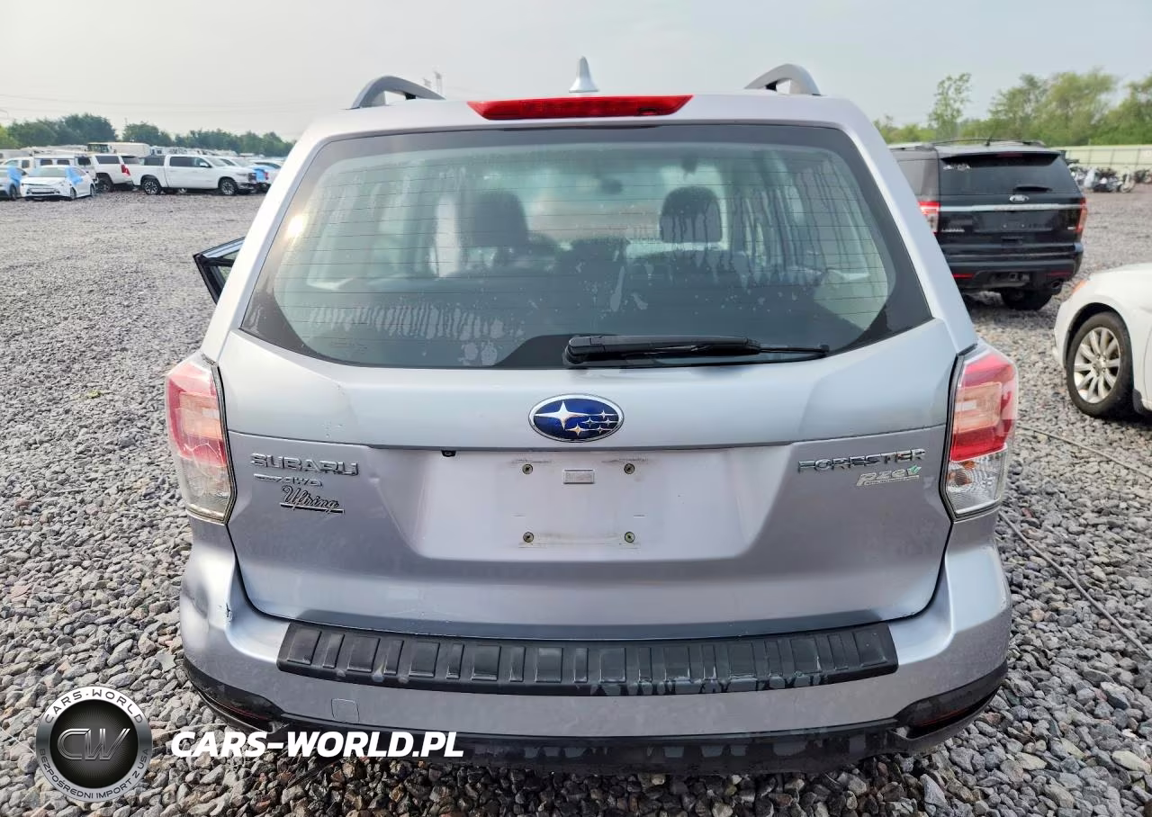 2017 Subaru Forester 2.5I VIN:JF2SJABC2HH531315 - 6