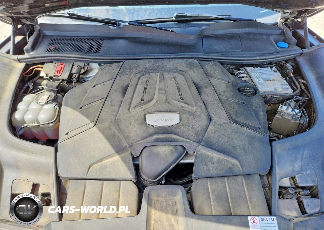 2019 Porsche Cayenne VIN:WP1AA2AY6KDA00905 - 12