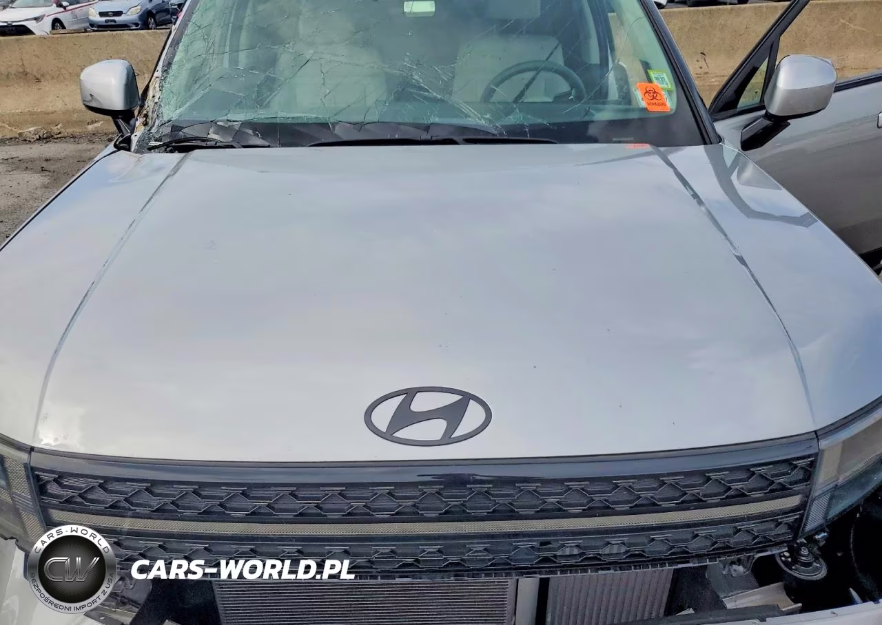 2024 Hyundai Santa Fe Calligraphy VIN:5NMP5DGL3RH032249 - 12