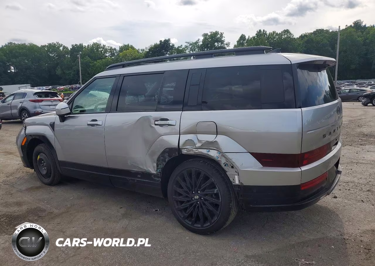 2024 Hyundai Santa Fe Calligraphy VIN:5NMP5DGL3RH032249 - 2