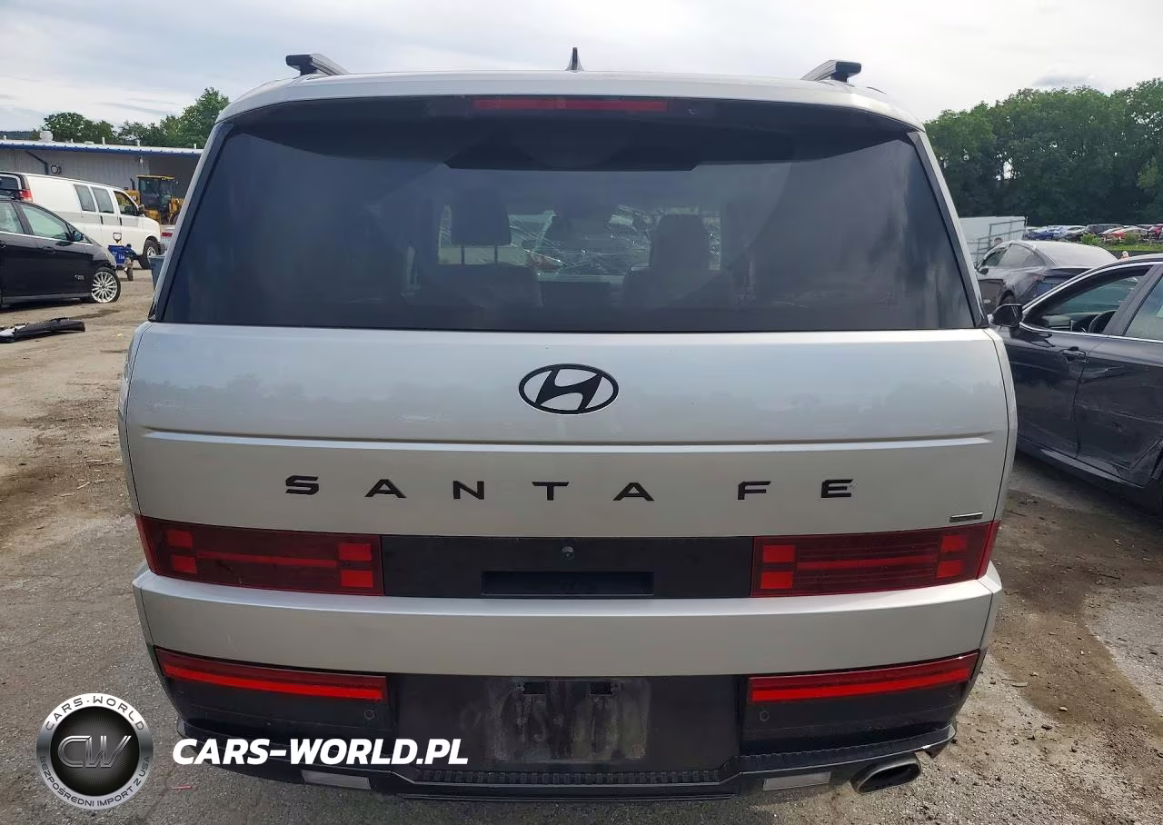 2024 Hyundai Santa Fe Calligraphy VIN:5NMP5DGL3RH032249 - 6