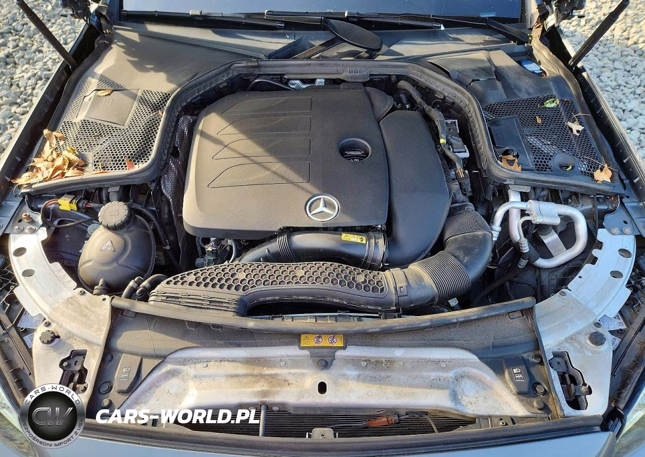 2020 Mercedes-Benz C 300 4Matic VIN:W1KWF8EB0LR589106 - 11