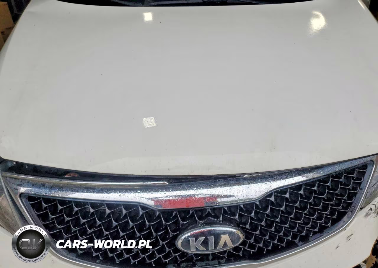 2014 Kia Sportage Lx VIN:KNDPB3AC5E7589709 - 11