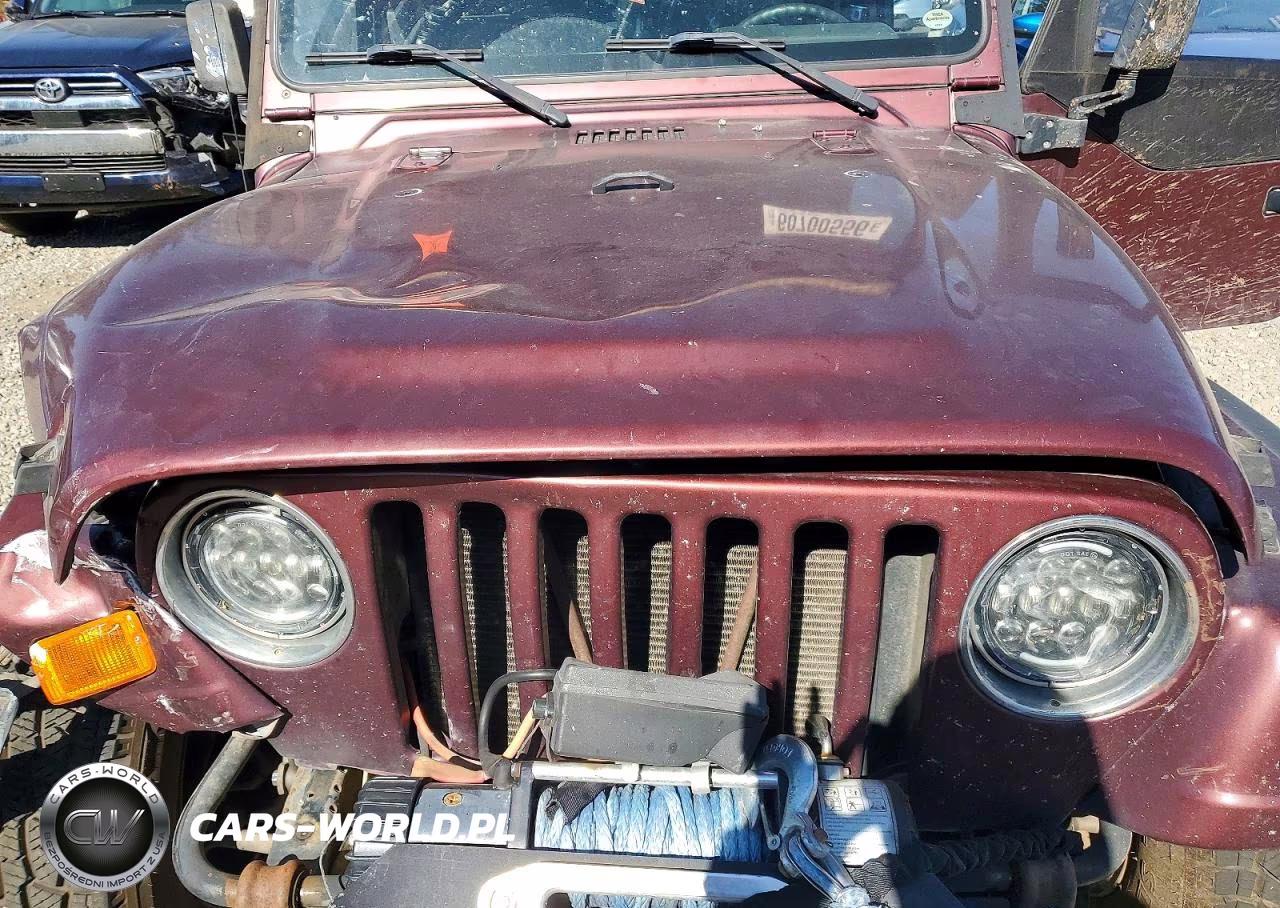 2001 Jeep Wrangler - Tj Se VIN:1J4FA29P61P311261 - 11