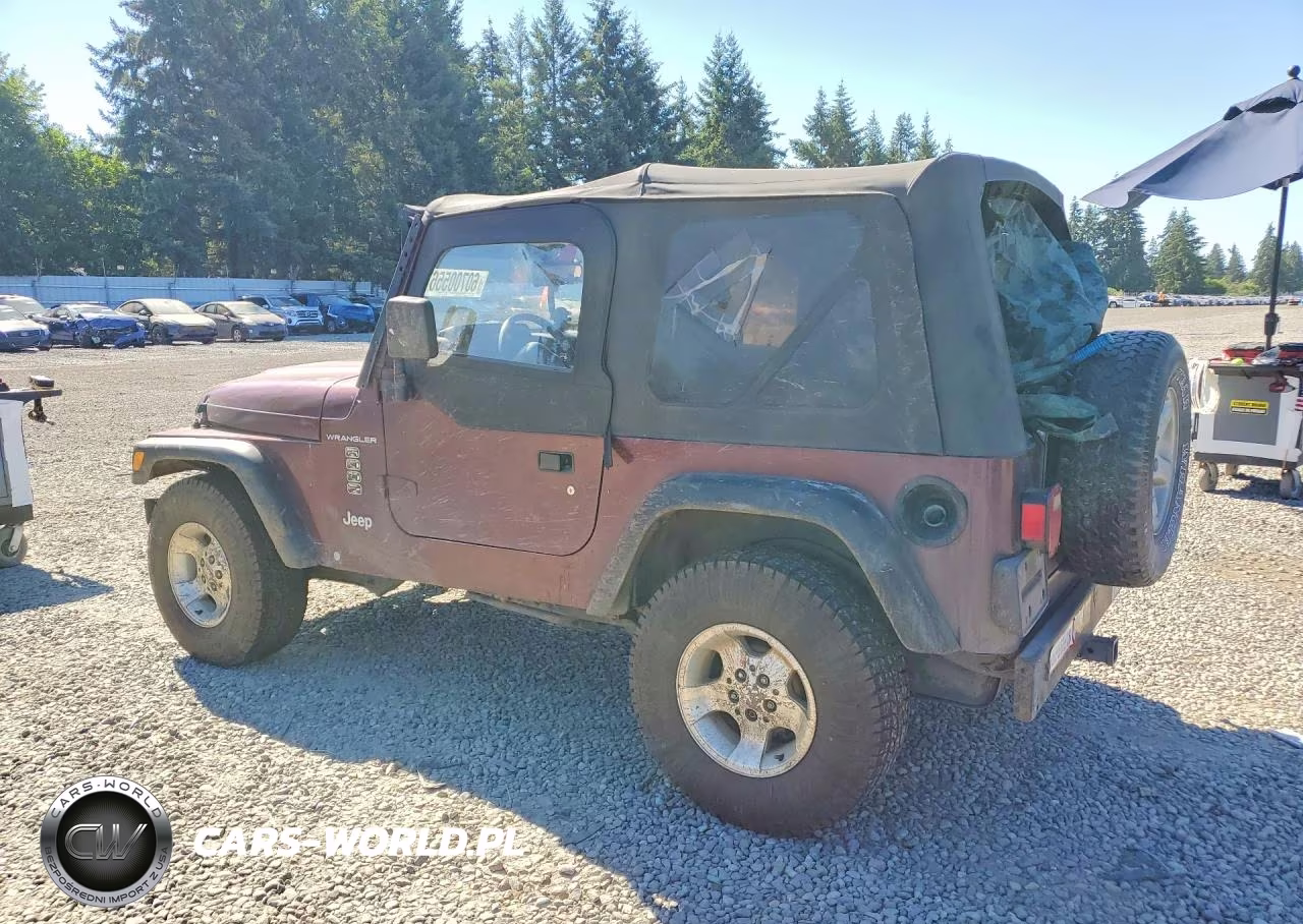 2001 Jeep Wrangler - Tj Se VIN:1J4FA29P61P311261 - 2