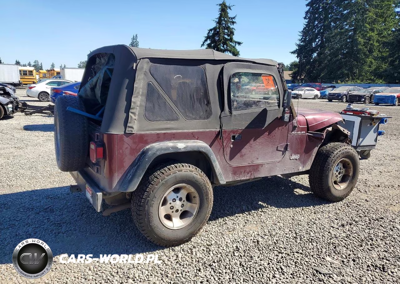 2001 Jeep Wrangler - Tj Se VIN:1J4FA29P61P311261 - 3