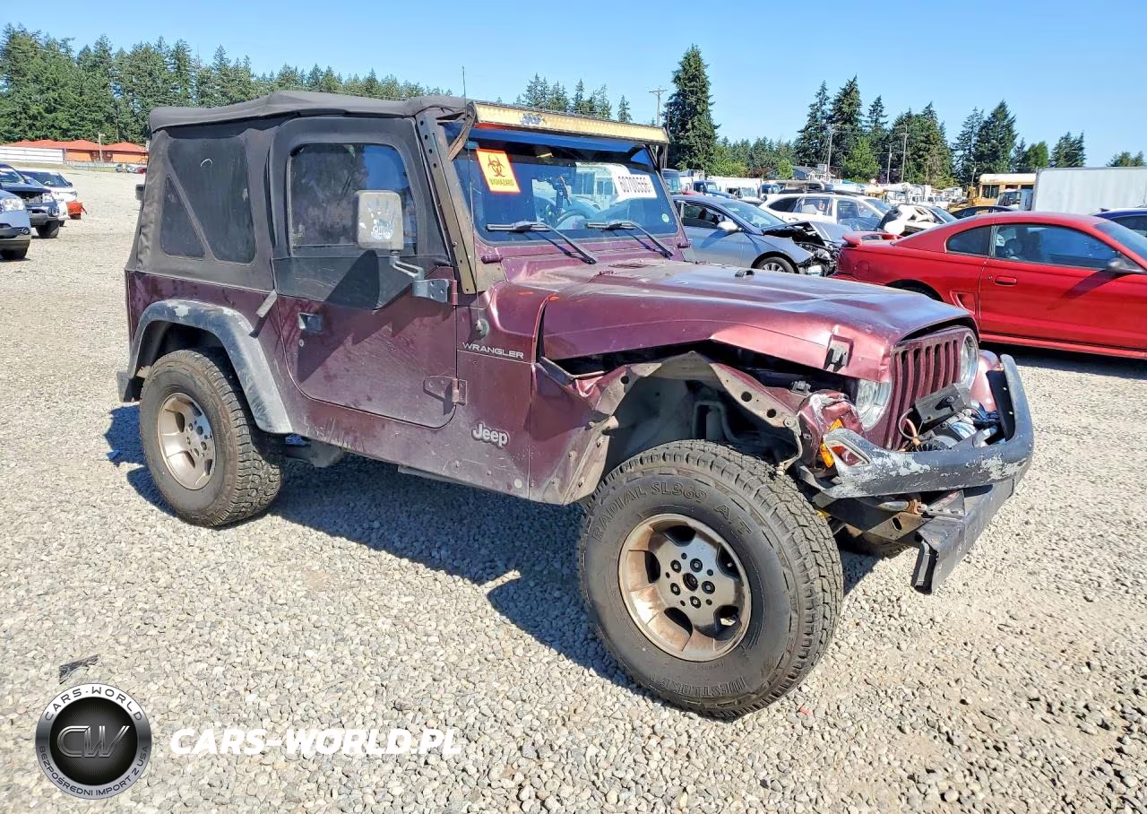 2001 Jeep Wrangler - Tj Se VIN:1J4FA29P61P311261 - 4