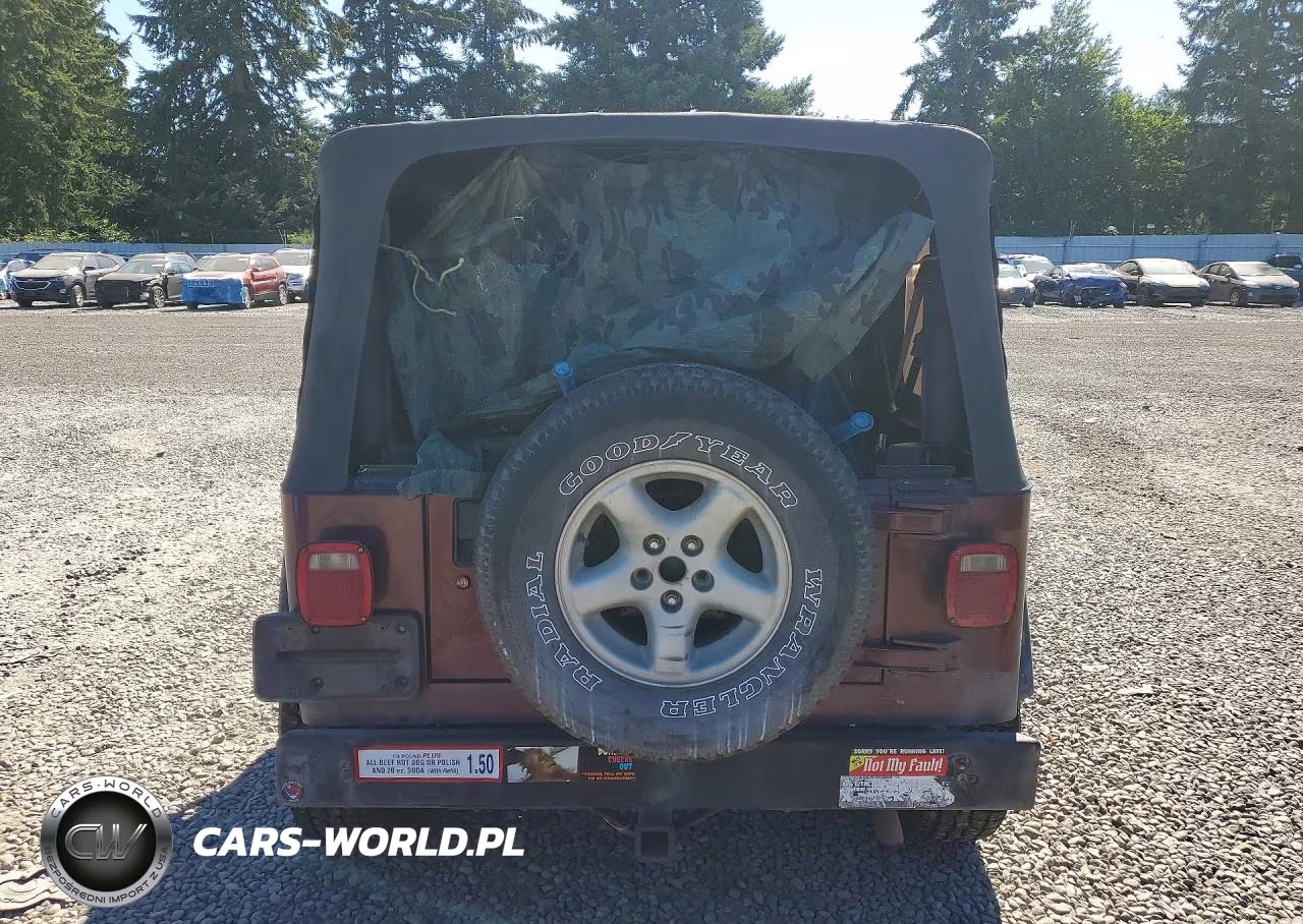2001 Jeep Wrangler - Tj Se VIN:1J4FA29P61P311261 - 6