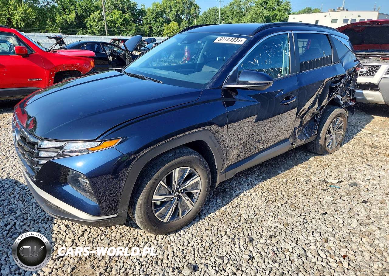2023 Hyundai Tucson Blue VIN:KM8JBCA13PU093134 - 1